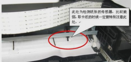 打印機卡紙