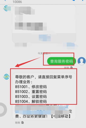 手機(jī)服務(wù)密碼