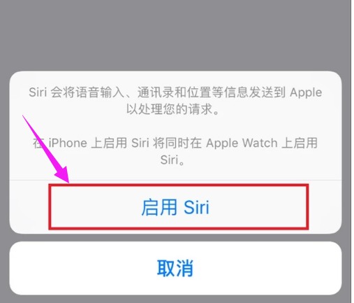 蘋果