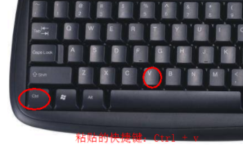 復制粘貼