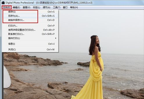 打開cr2文件