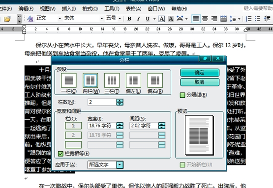 設(shè)置分欄
