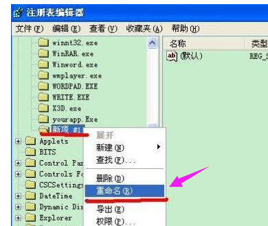 程序