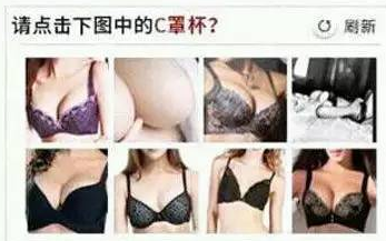 自動(dòng)程序